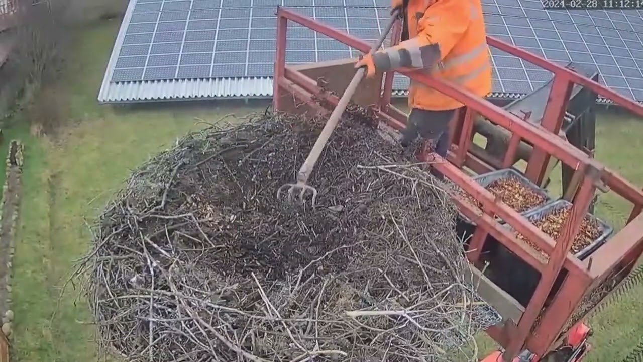 Storchennest Pahlen - Nestreinigung - 28.02.2024
