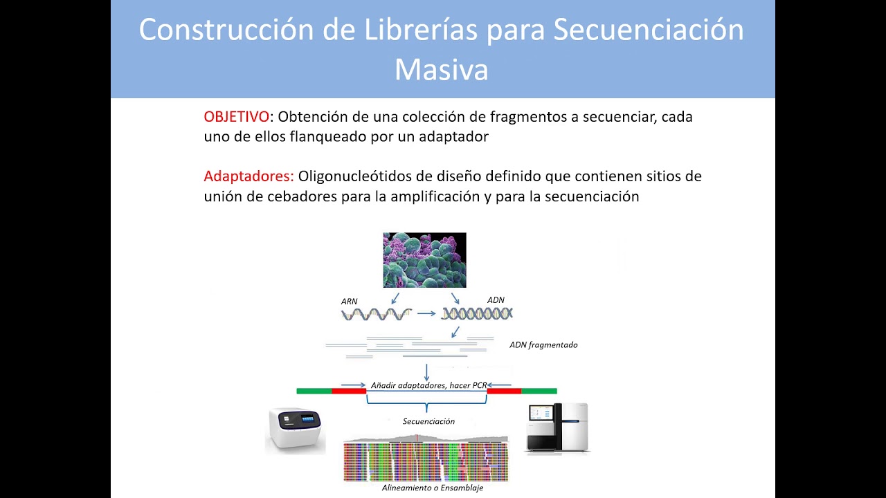 Pasos Básicos en la Construcción de Librerías para Secuenciación Masiva |  | UPV