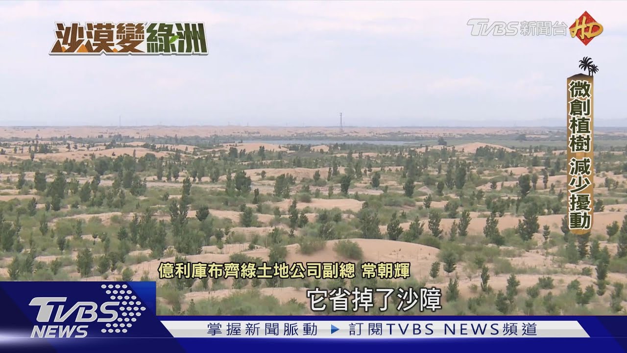 陸荒漠化面積27.4% 「科技種樹」與沙爭地科技種樹｜沙漠變綠洲