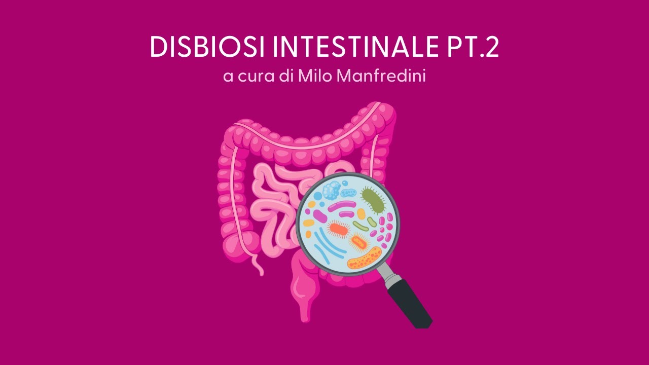 DISBIOSI INTESTINALE: COME TRATTARLA DAVVERO CON UN APPROCCIO IN 4 FASI