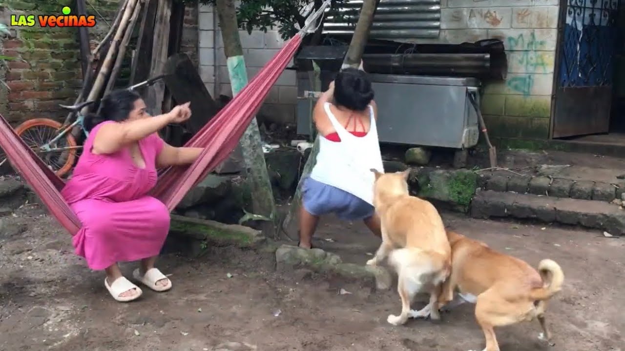 SE LE PETATEO EL GALLO A LA VECINA 