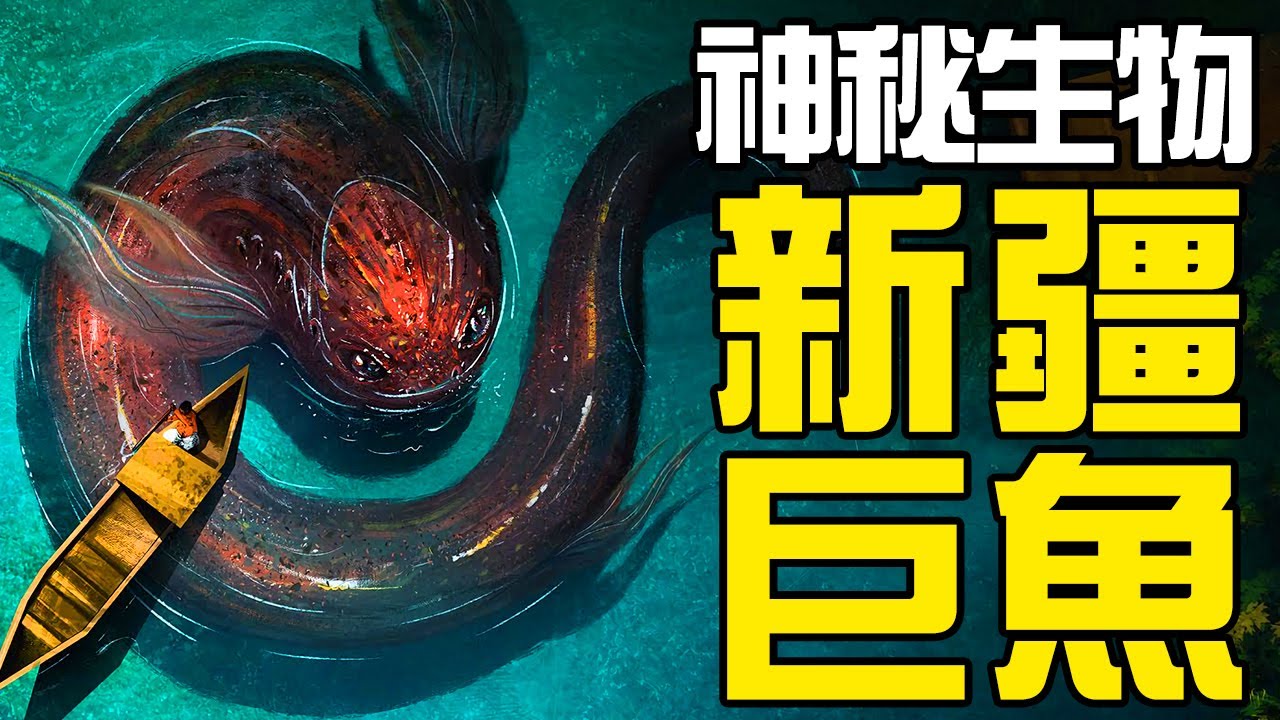 【UMA丨新疆巨魚】有人親眼見到體長110多米的水怪？新疆喀納斯湖水怪，到底是百米長的怪物還是10幾米長的巨魚，亦或是完全虛無的存在？丨神秘動物學UMA羊駝解說丨黑毛羊駝