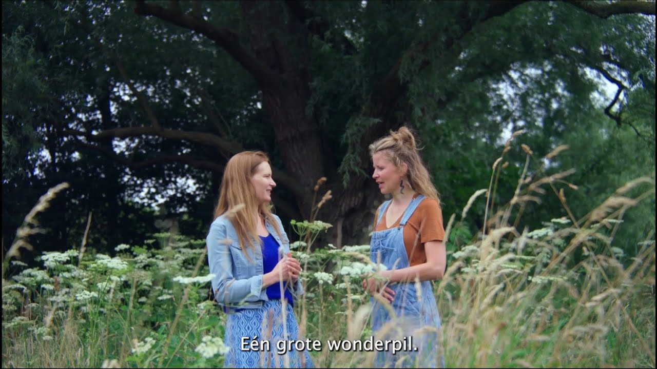 Kom in beweging in het Amsterdamse Bos!
