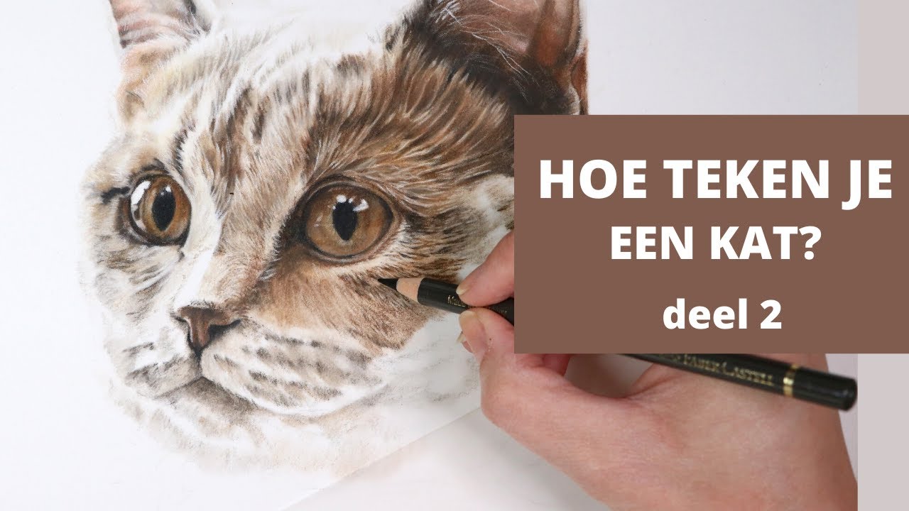 HOE TEKEN JE EEN KAT? DEEL 2 | LEREN TEKENEN voor beginners