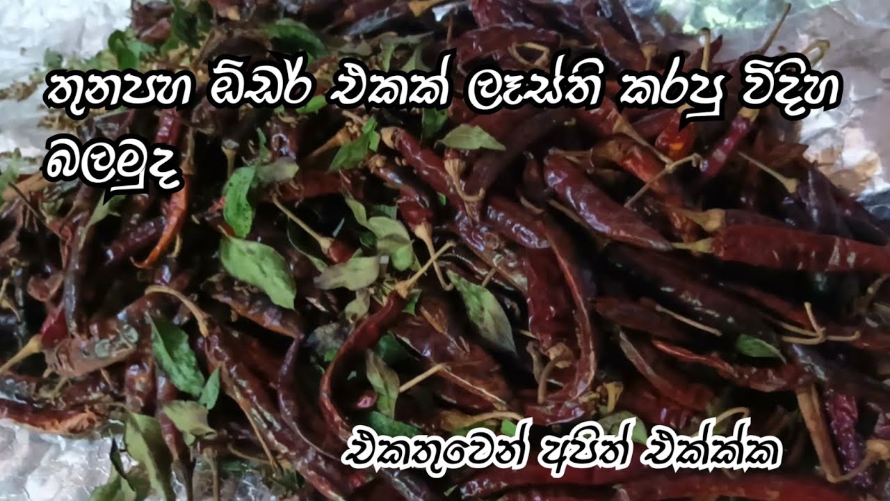 ගෙදරට වෙලා ඉදන් මං සල්ලි හොයන විදිහ. #syanrekiya #business #smollbusiness #thunapaha 