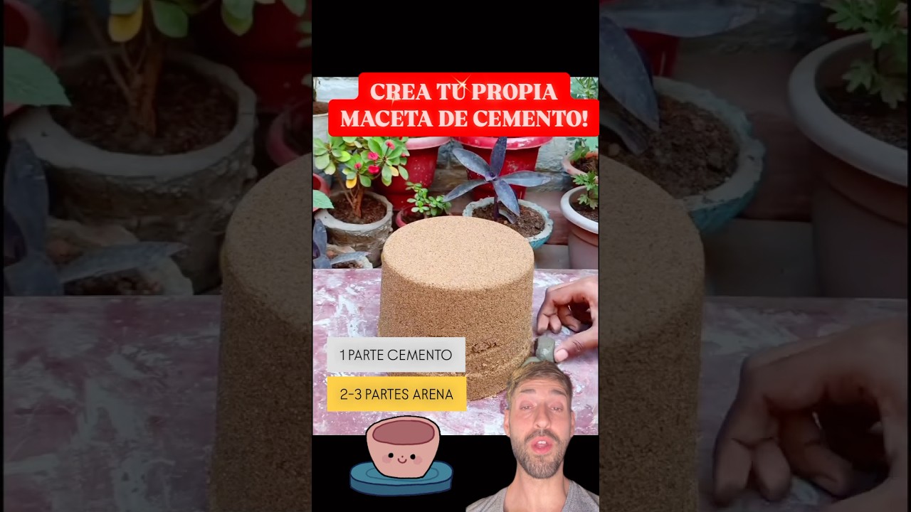 Crea F&Aacute;CILMENTE Macetas para Plantas!