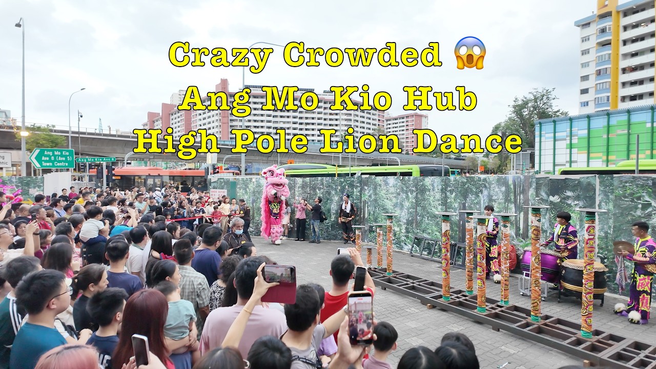 My First High Pole Lion Dance Footage for CNY 2026 - Ang Mo Kio Hub  #singapore #cny2026 #liondance