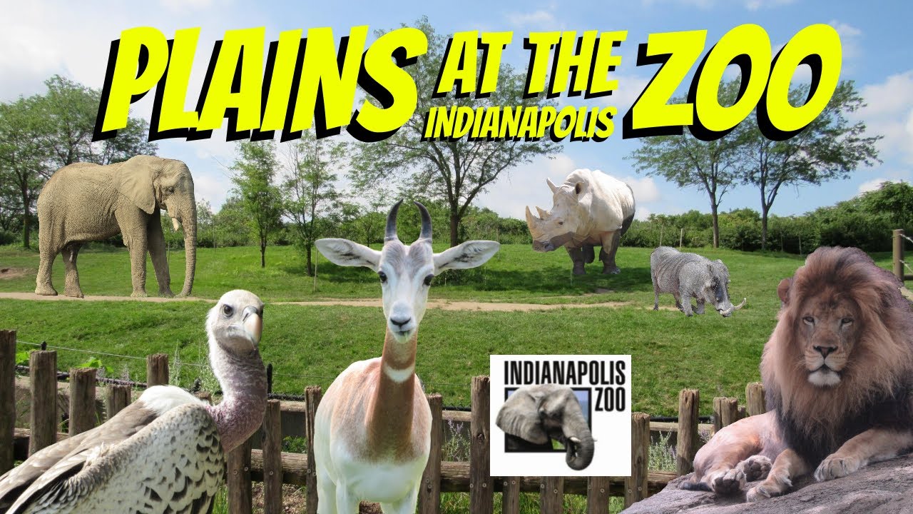 Plains at the Indianapolis Zoo | Exhibit Tours Ep. 24