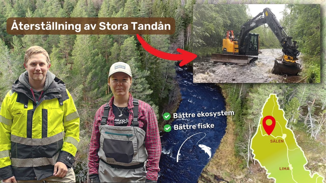 Restaurering av Stora Tandån, Sälenfjällen