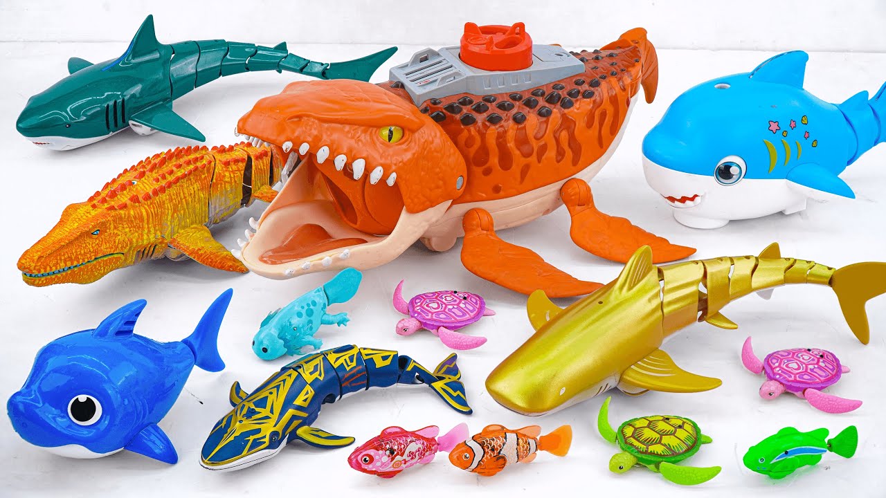 [🐋Toy asmr🐋] Yellow Whale & Nimo Fish & Baby Shark & Alive Aquarium ASMR Satisfying with Unboxing