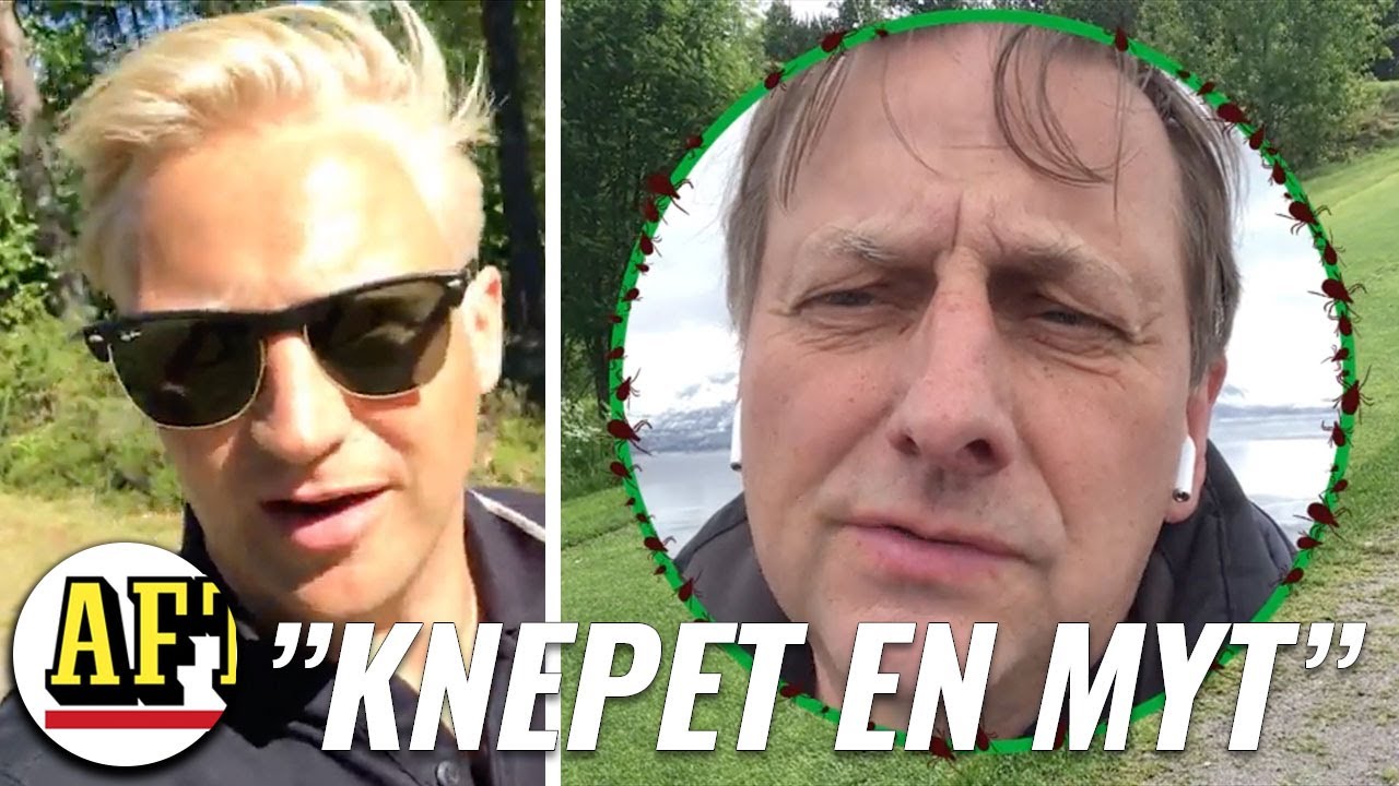 5 saker du inte visste om f&auml;stingar