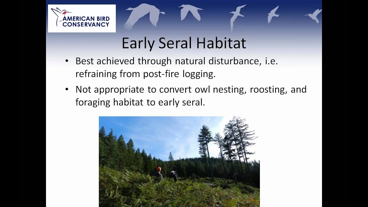 Science, Policy and Conserving the Northern Spotted Owl