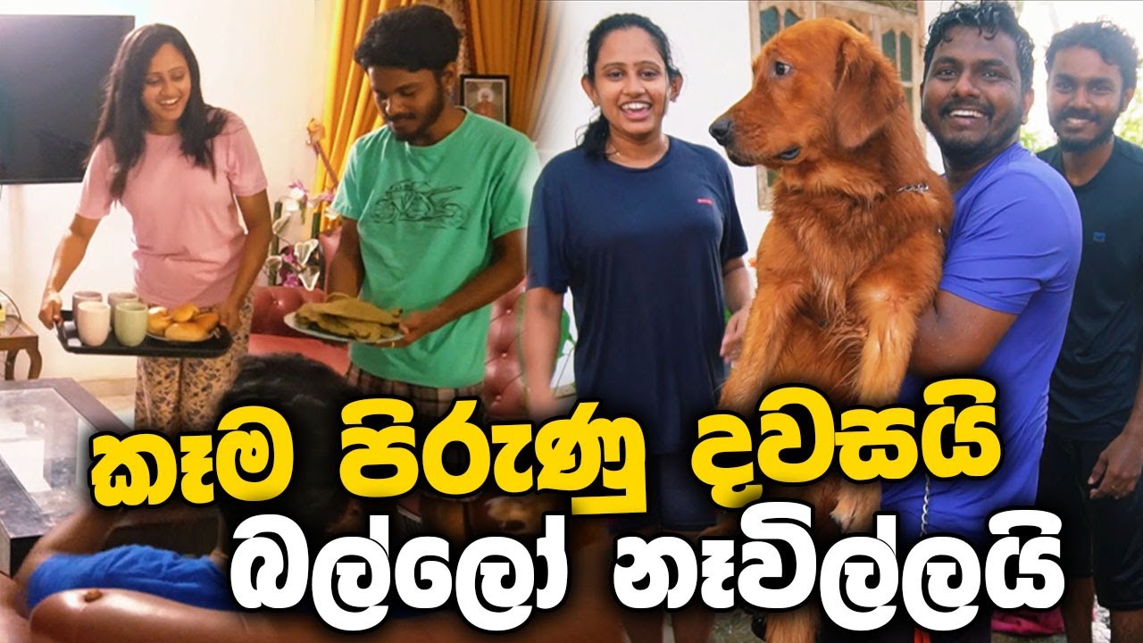 කෑම පිරුණූ දවසයි, බල්ලෝ නෑවිල්ලයි 🤭