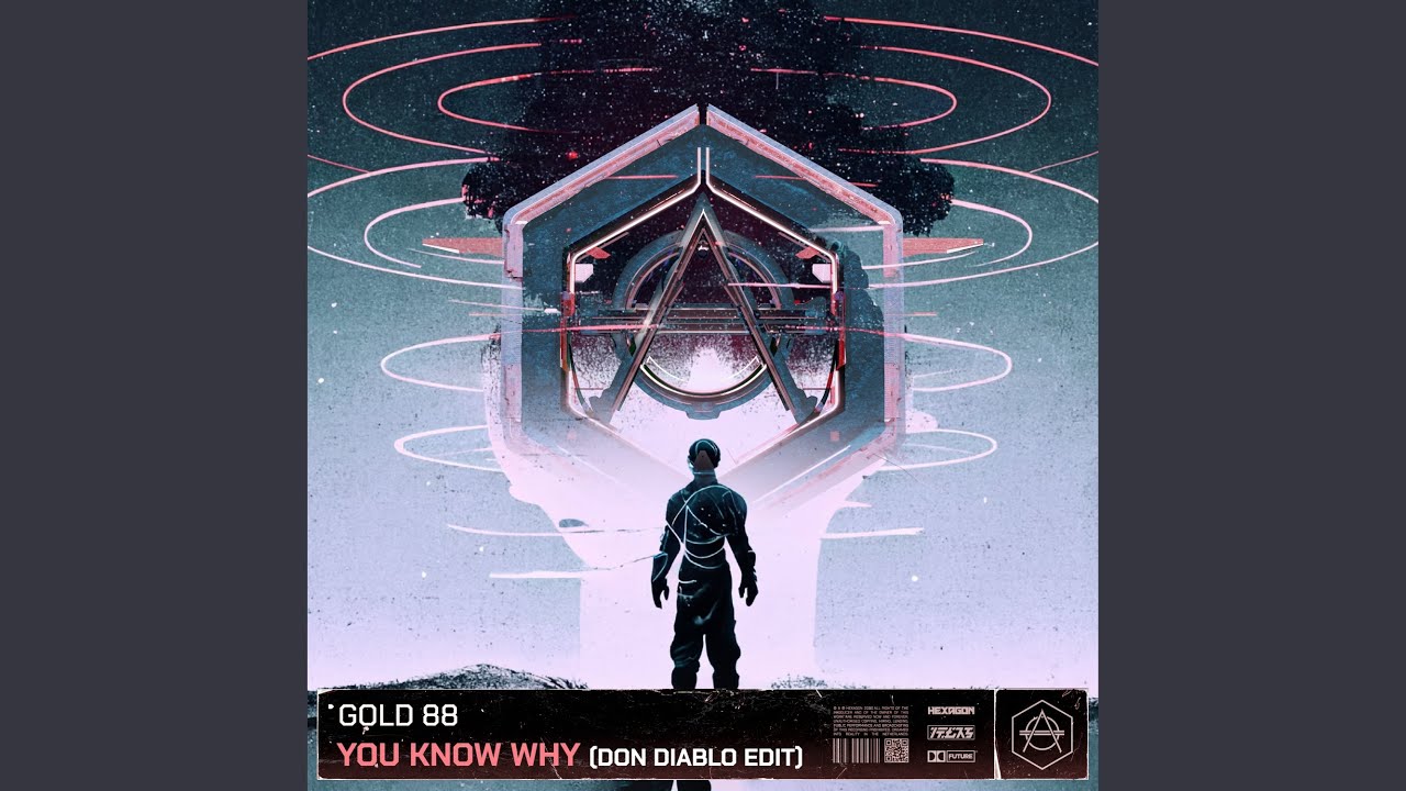 You Know Why (Don Diablo Edit)