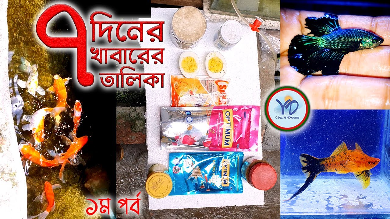 রঙ্গিন মাছের খাবার। ornamental fish foods.