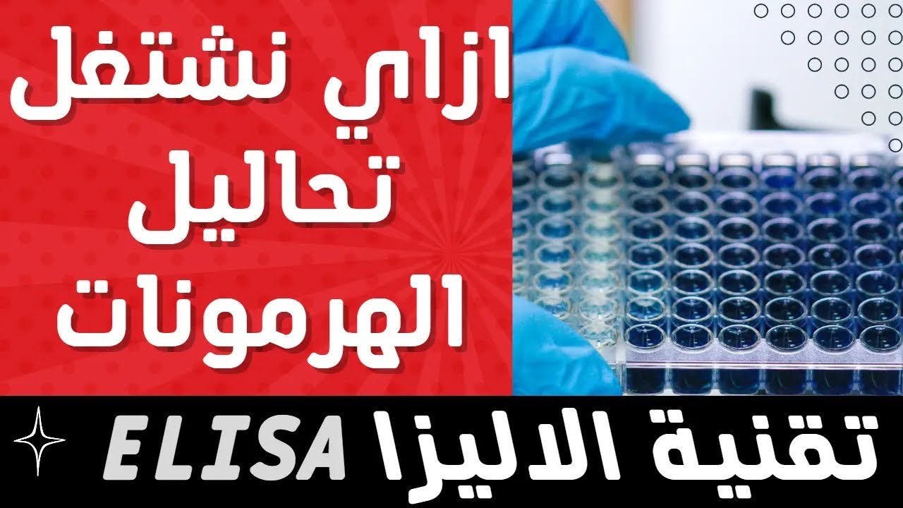 1_كيفية قياس الهرمونات بتقنية الاليزا بكل سهولة داخل المعمل ELISA technique
