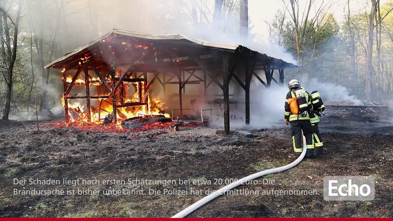 Feuer im Bürstädter Wald