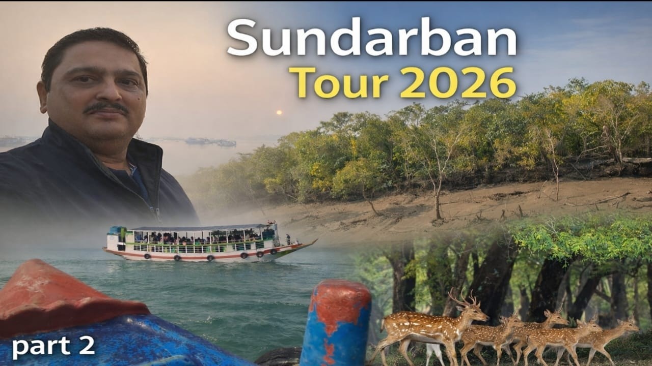 Sundarban Wildlife Adventure | Day-2 | Budget Tour Guide | Exploring the Beauty of Sundarban