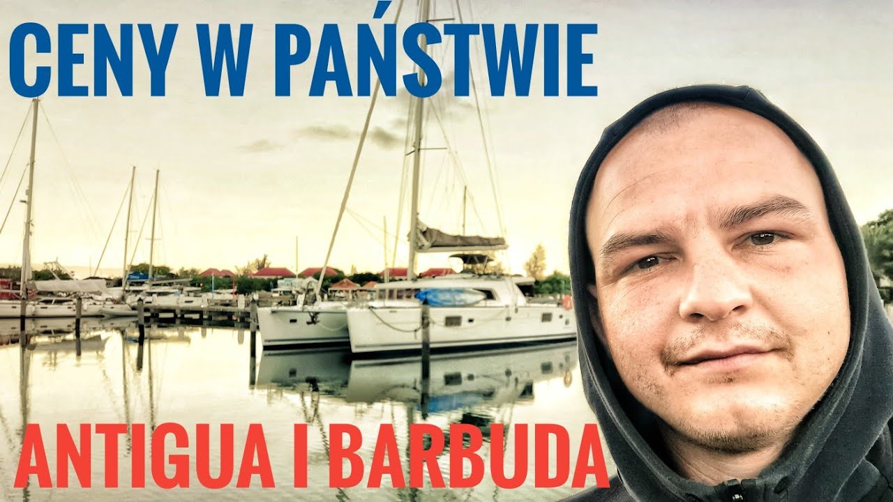 #karaiby Delfiny i Nowy Kraj Antigua i Barbuda