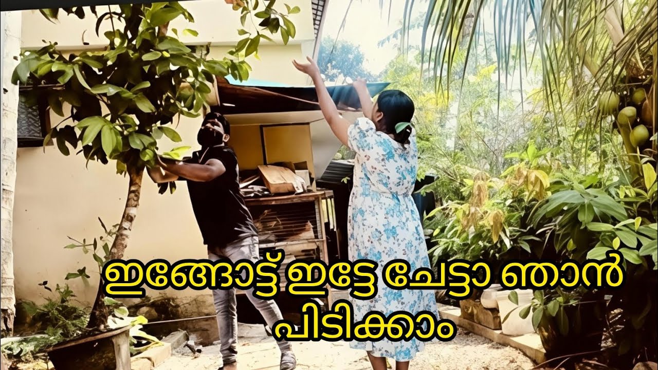 എന്റെ കൈയിലോട്ട് ഒന്ന് ഇട്ടു തരുമോ താഴെ വീണാൽ പൊട്ടും #familyvlog#shorts#shortsfeed#viralvideo 