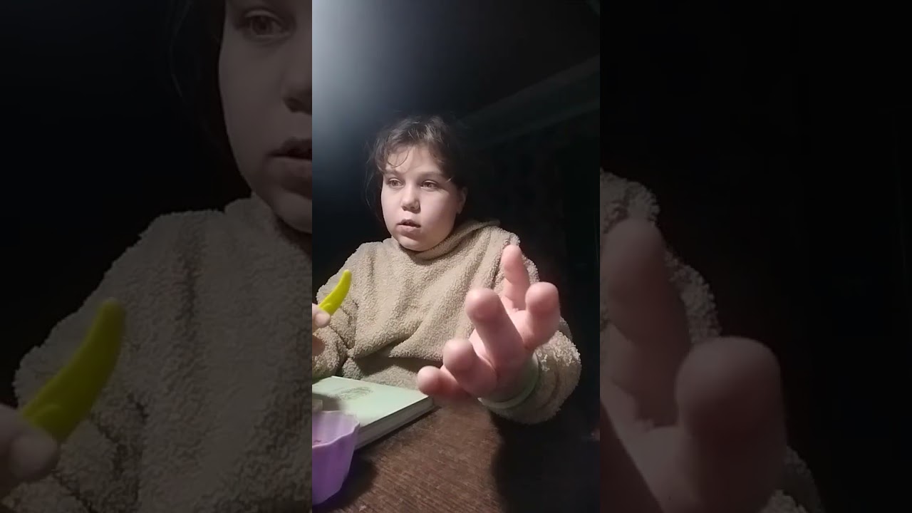 Вечерний влог