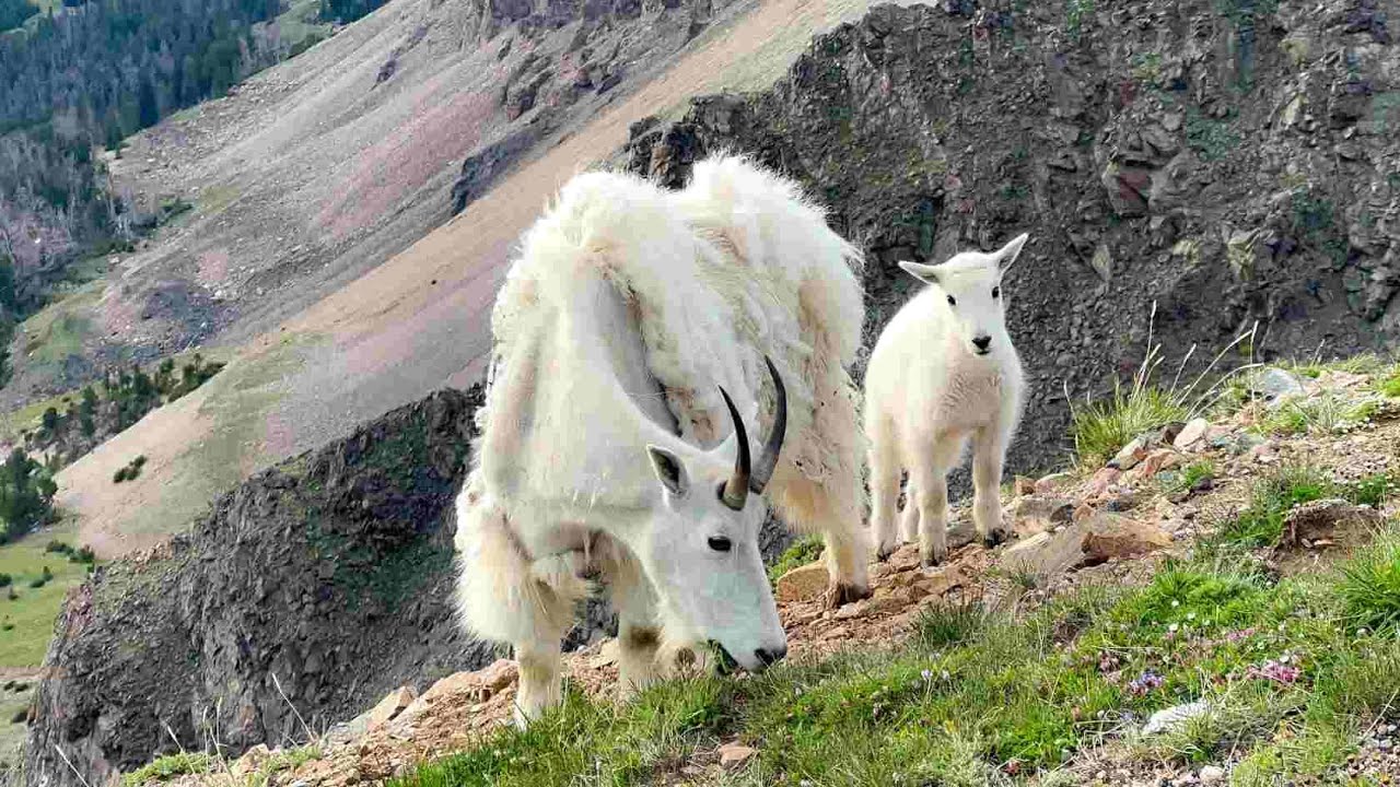 Absaroka Beartooth Wilderness
