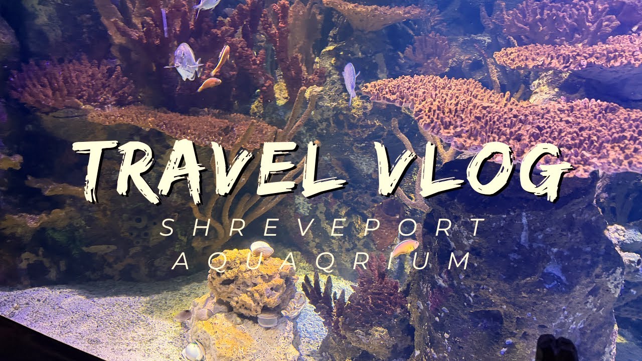 Wonders of Shreveport, LA - Shreveport Aquarium and Red River District