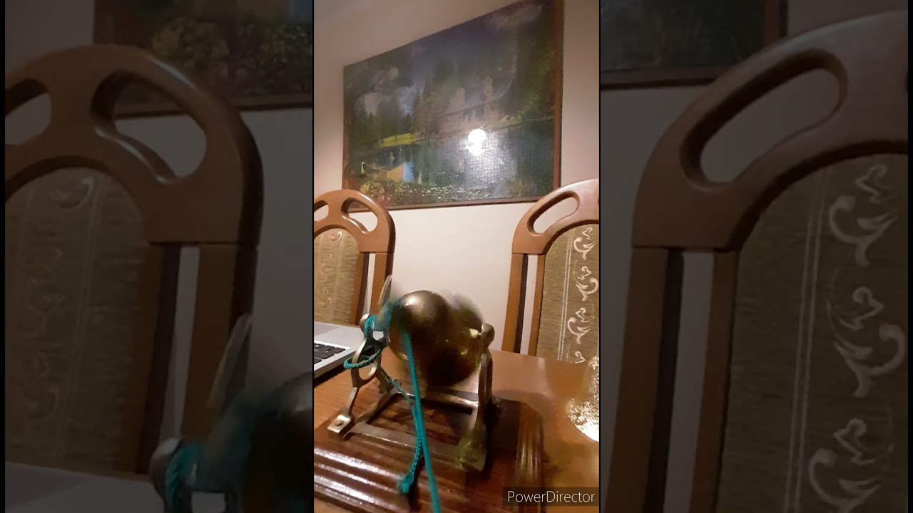 special. na 140 subów dzwon św Marcel w extra zwolnionym tempie