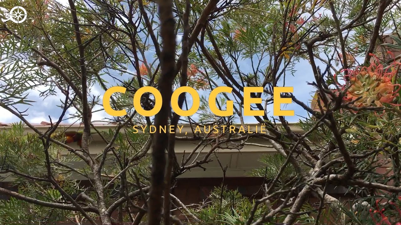 A 90-second video neighbourhood guide for the beach suburb Coogee, Australia