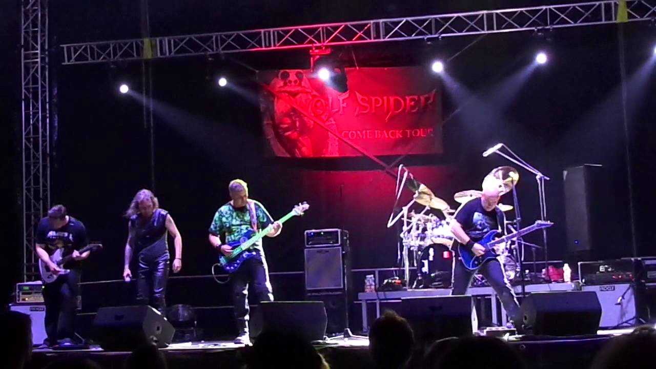 Wolf Spider (Wilczy Pająk) - Śliwka Fest 2015 - cover by Metallica 