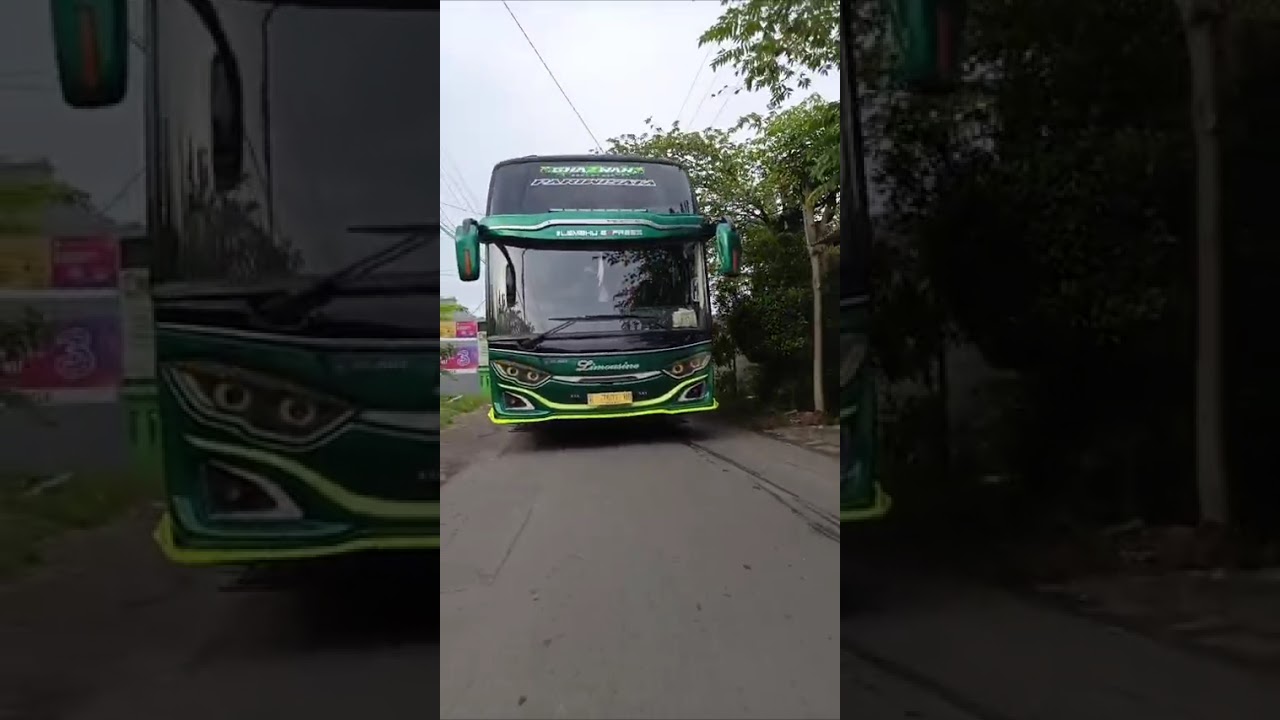 limousine trans ghazwah#basuri #busmania #12not #fyp#limousinetrans