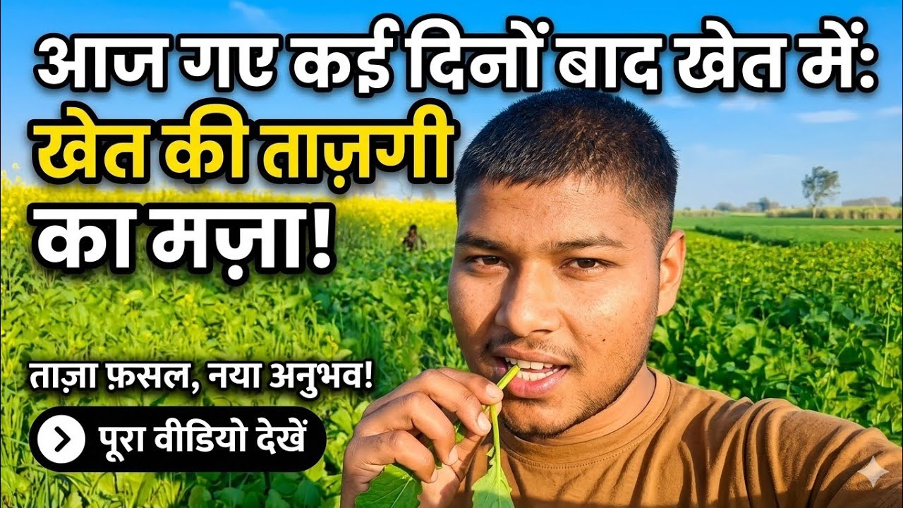 आज कई दिनों बाद हम गए खेत 🌾