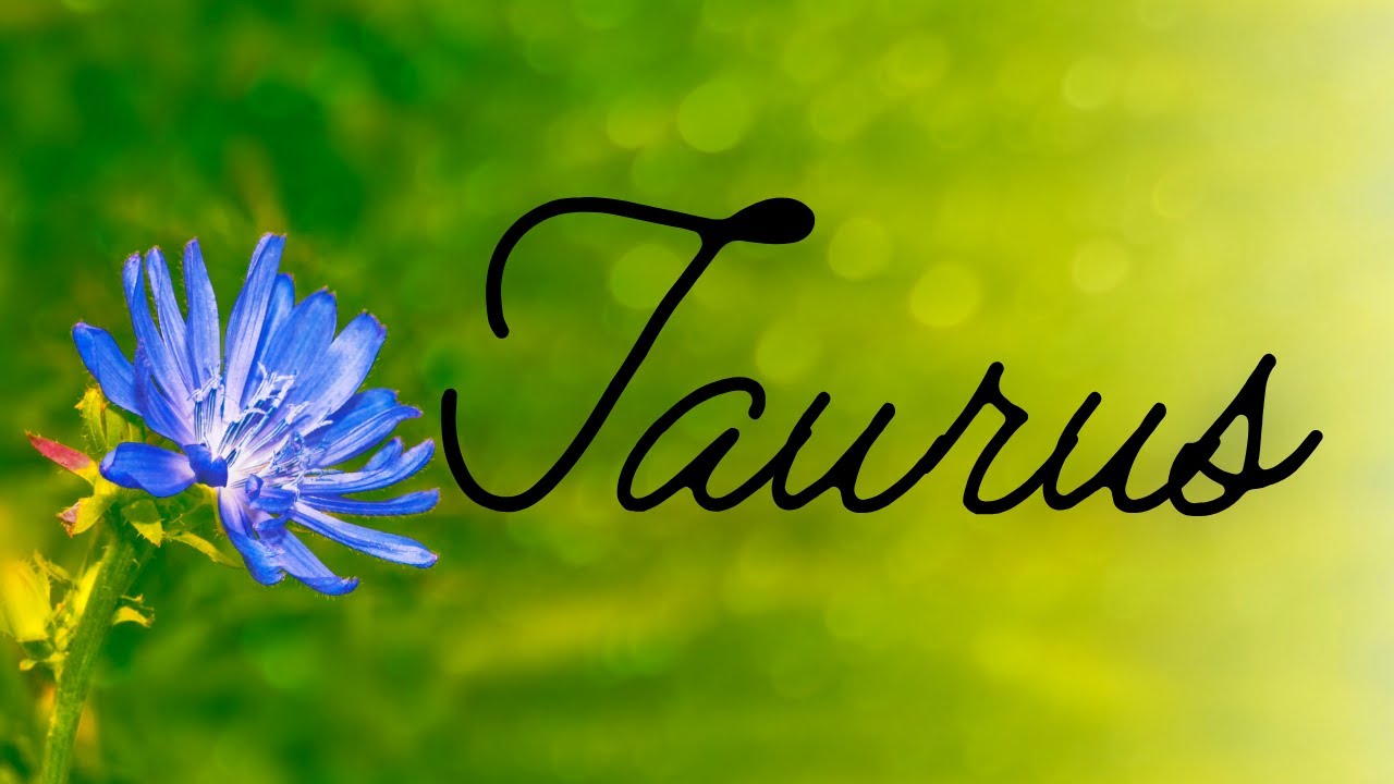 Taurus🌿This Is Gonna Take You By Surprise💙You're EXACTLY What They've Been Looking For🌿Singles