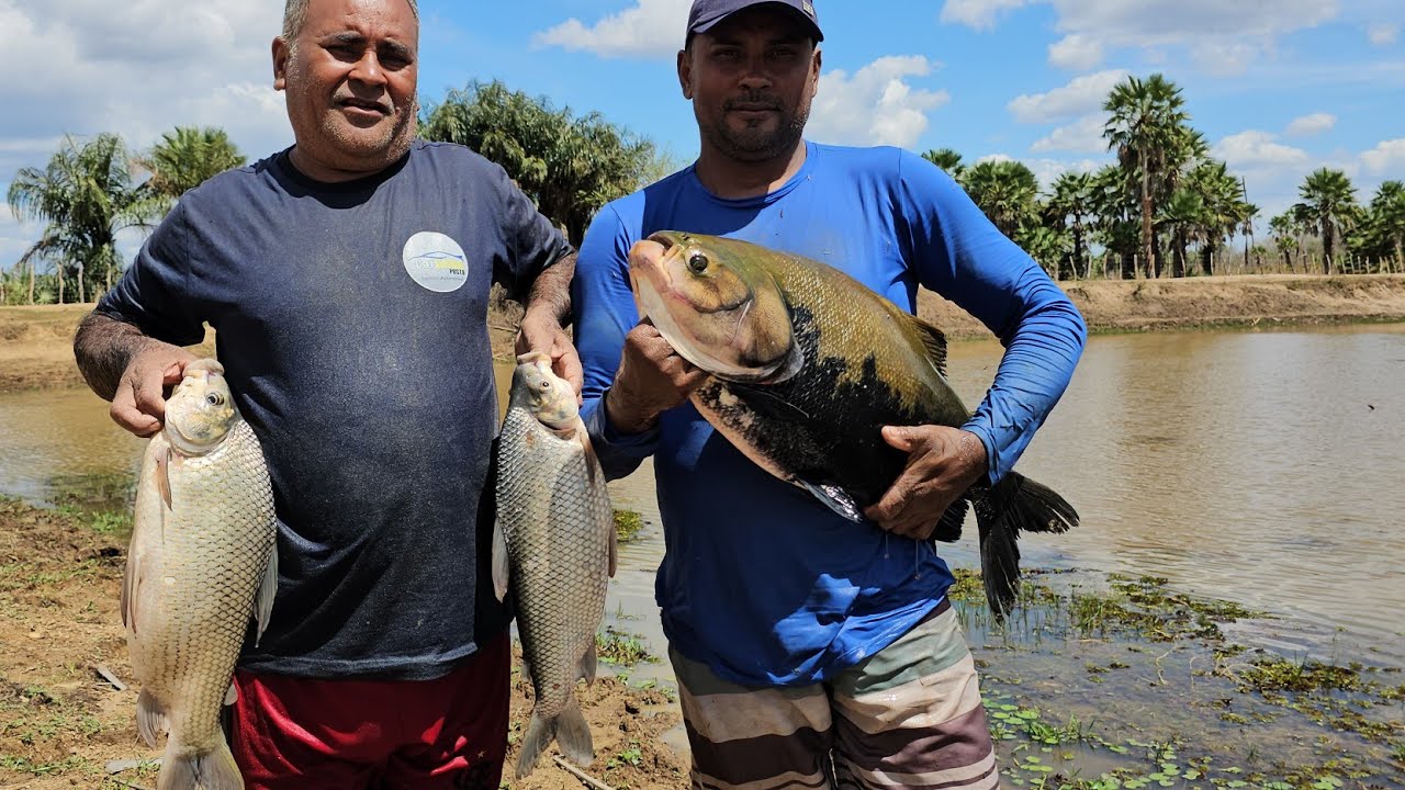Pescaria de açude  tem o maior peixe das pescarias de 2024 grupo chaguinha pescador
