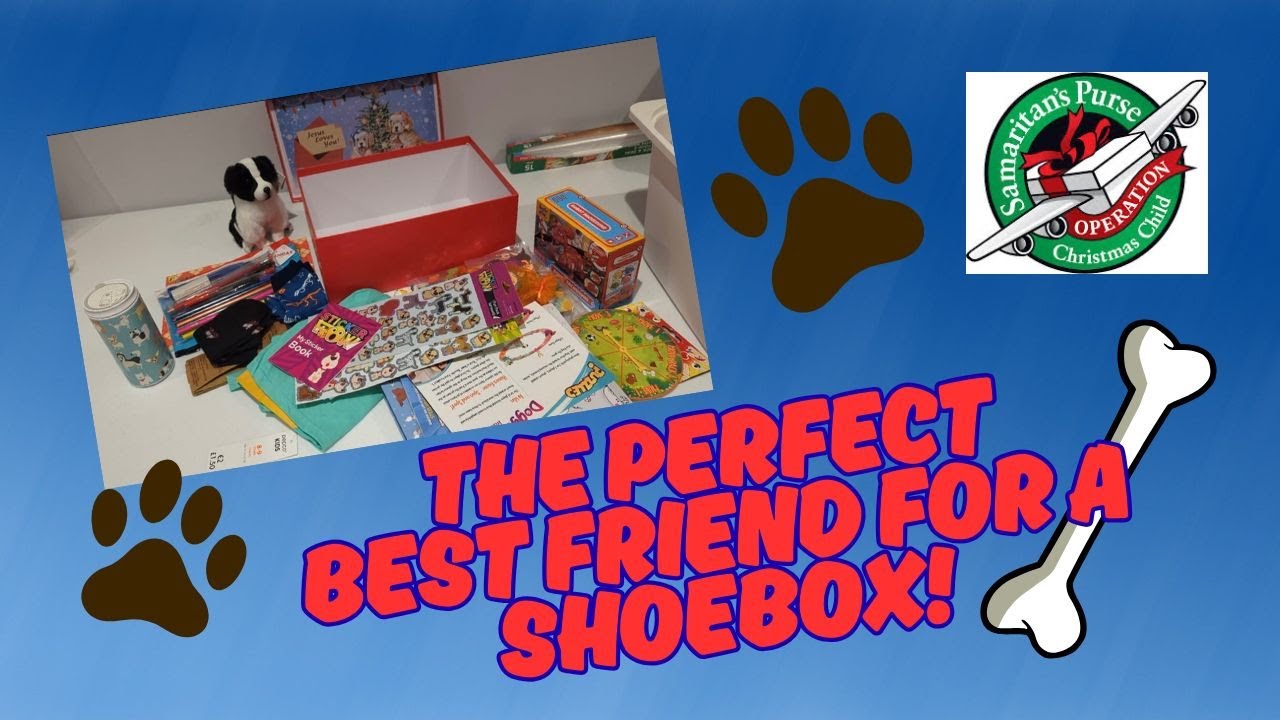 Операция «Рождественский ребенок» 🐶 Мальчик 5-9 лет 🦴 Тема: Собаки | OCC 2026
