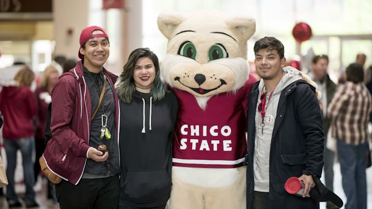 Paradise High School Daily Bulletin March 3, 2026