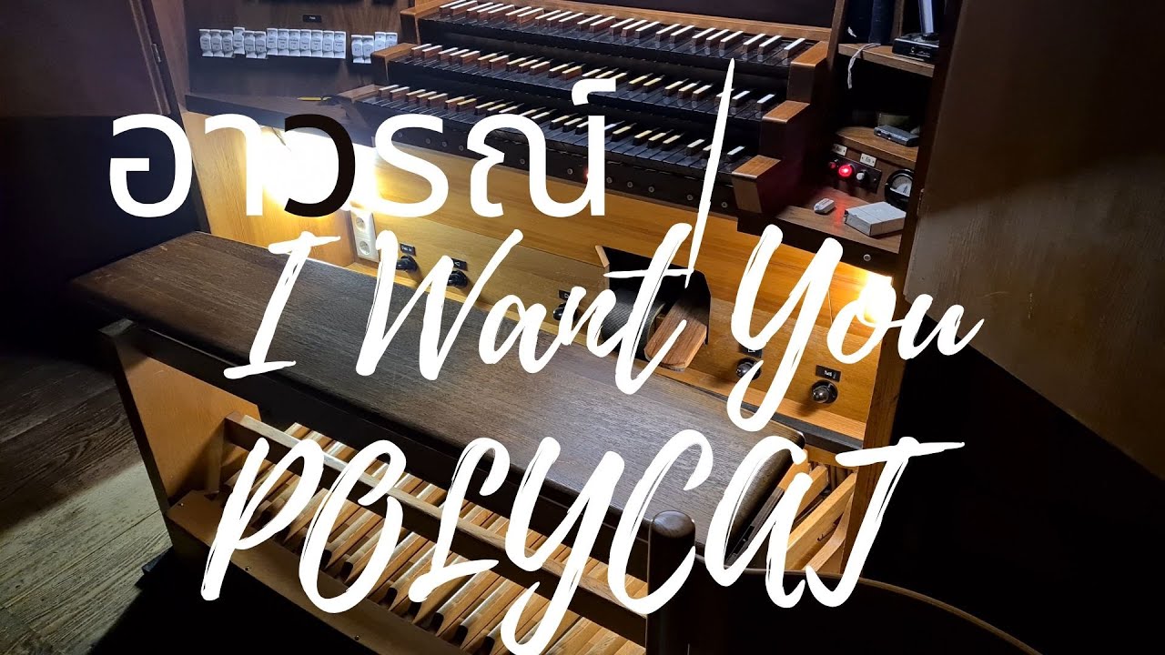 POLYCAT - อาวรณ์ | I Want You | Organ cover by Uzler