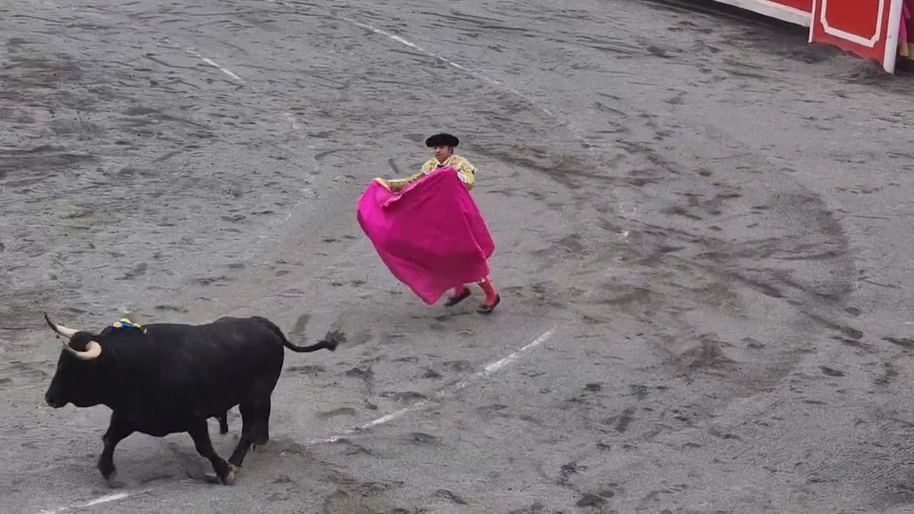 Bull Fighting festival 2025 in #BILBAO #SPAIN #EUROPE #Toros # #Bullrun #Bullfighter 