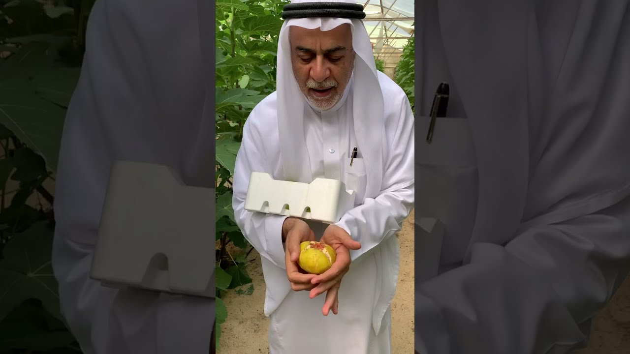 اكبر تين فالعالم شركة ساباد