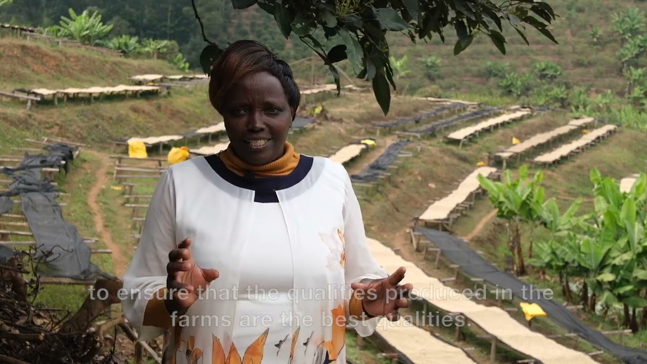 Sprouts - Meet Susan Nzomo