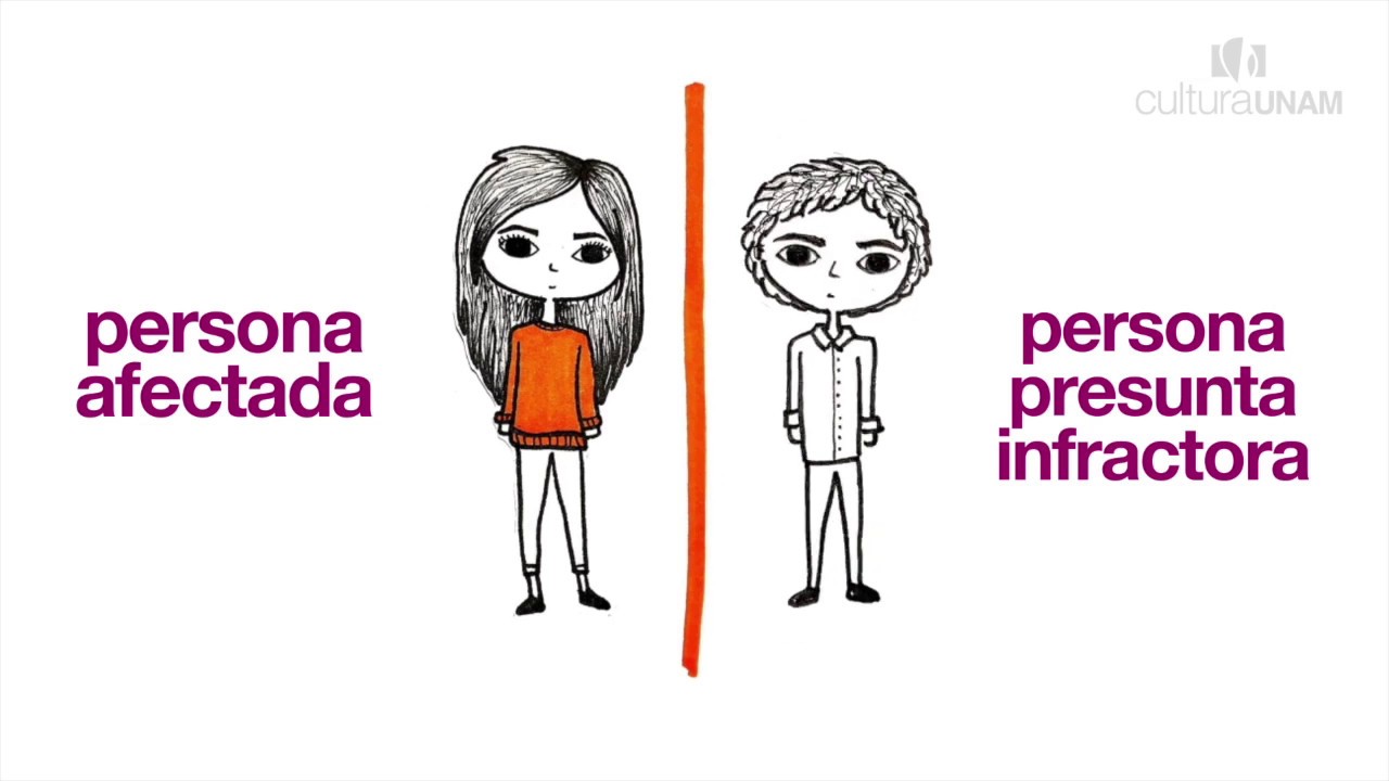 Protocolo de la UNAM contra la violencia de g&eacute;nero 5