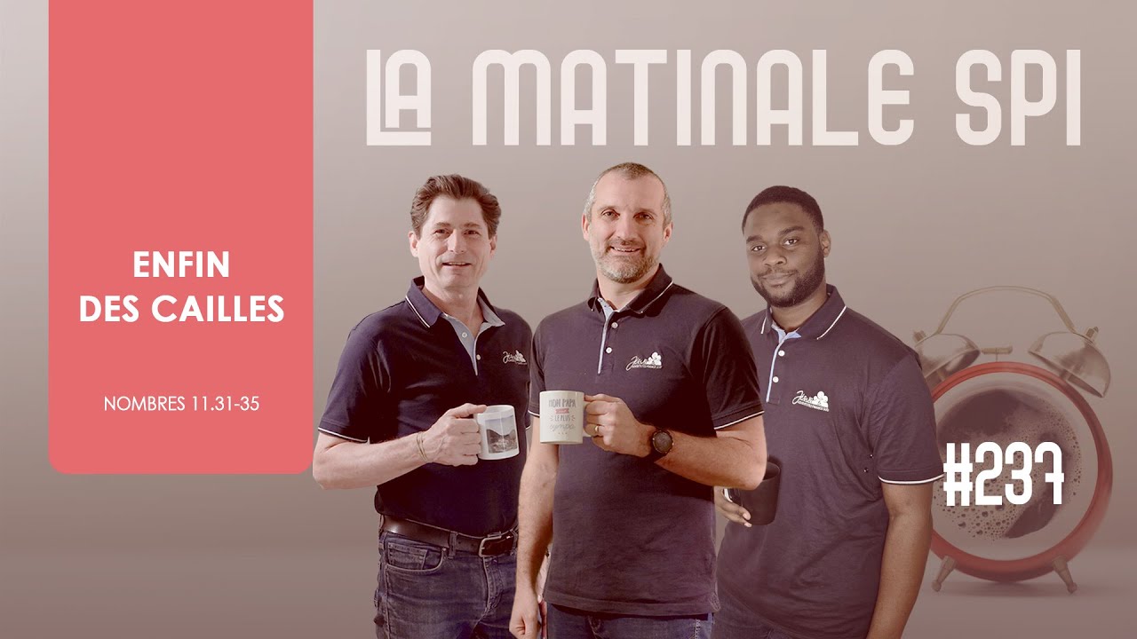 La Matinale Spi #237 - Enfin des cailles | Nomb 11.31-35