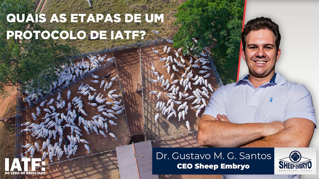 Quais as etapas de um protocolo de IATF?