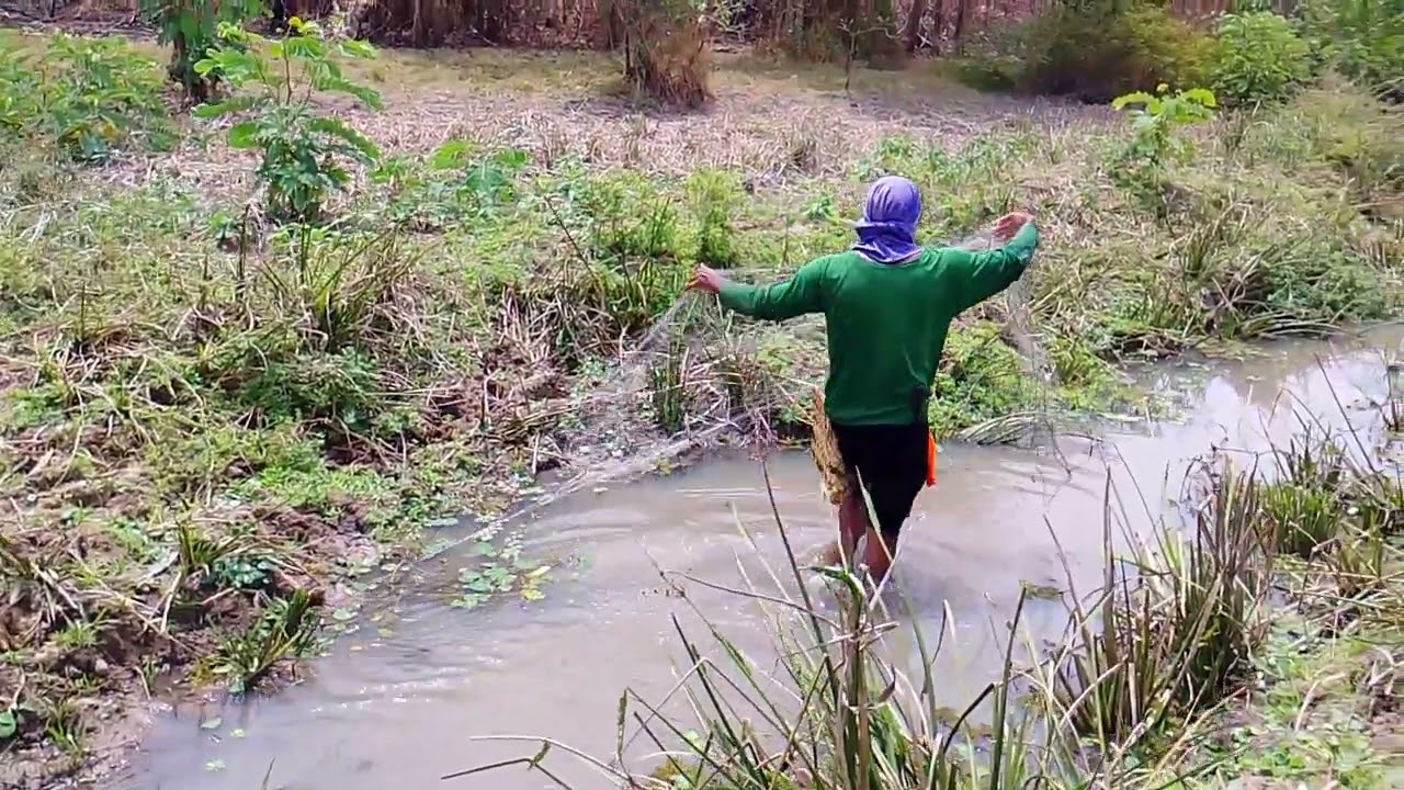 Pescando e cozinhando peixe na beira do rio parte 1