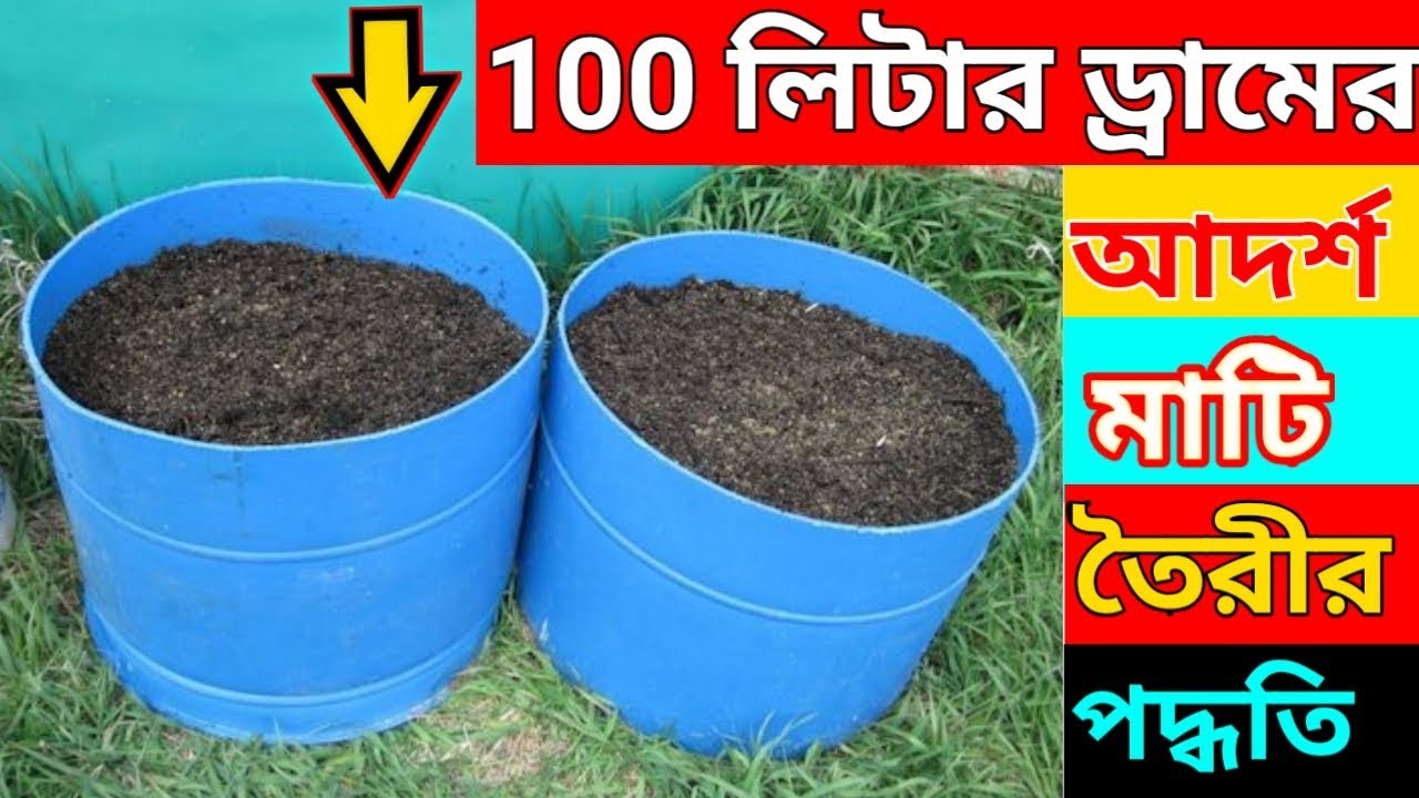 বড়ো হাফ ড্রামে গাছ বসানোর জন্য আদর্শ মাটি তৈরীর ফর্মুলা, ড্রামের ব্যবস্থাপনা ও গাছ বসানো. half drum