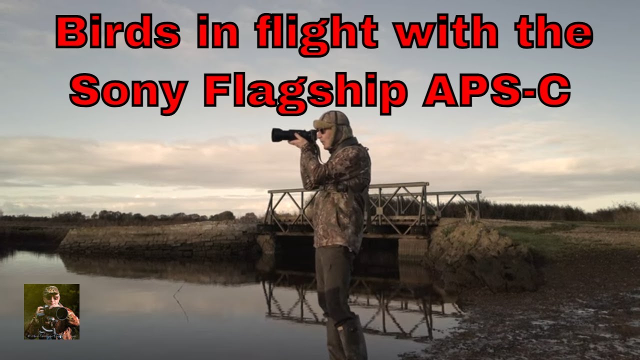 Out with the Sony A6700 at Stanpit Marsh