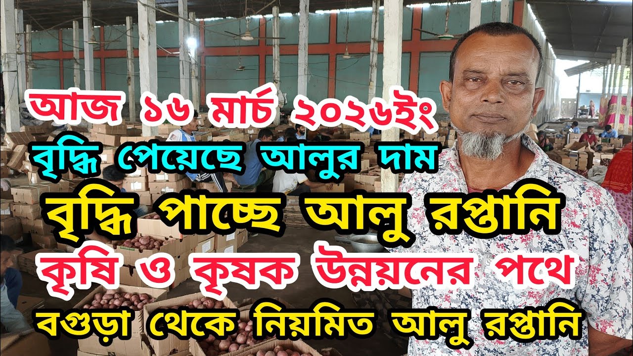 ১৬ মার্চ ২০২৬ইং বগুড়া থেকে মালয়েশিয়া রপ্তানি হচ্ছে লাল পাকরী আলু কৃষক অনেক খুশি সাবলম্বি হচ্ছে কৃষক 