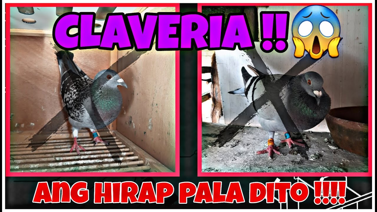 ARPCi NORTH DERBY RACE | 6TH LAP CLAVERIA, CAGAYAN !!!