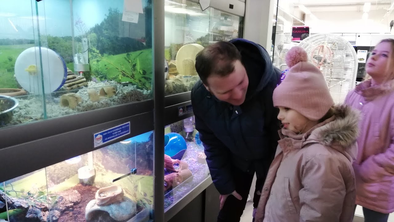 I Bonnie Dyrecenter🐠🐹Malle plager om en papegøje🐦Køber vi et dyr❓