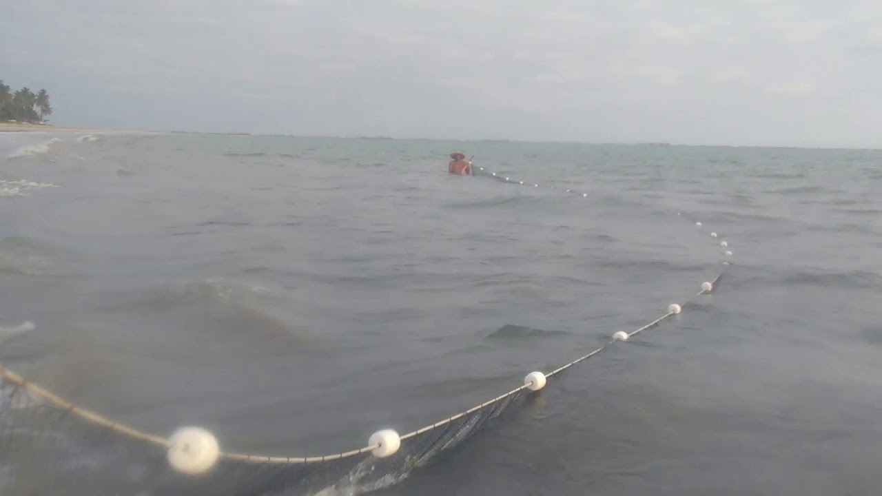 PESCA COM REDE DE ARRASTO NA PRAIA